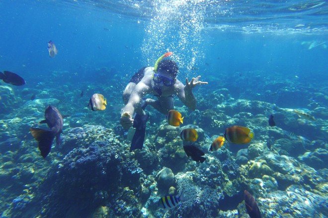 Snorkeling in Nusa Penida